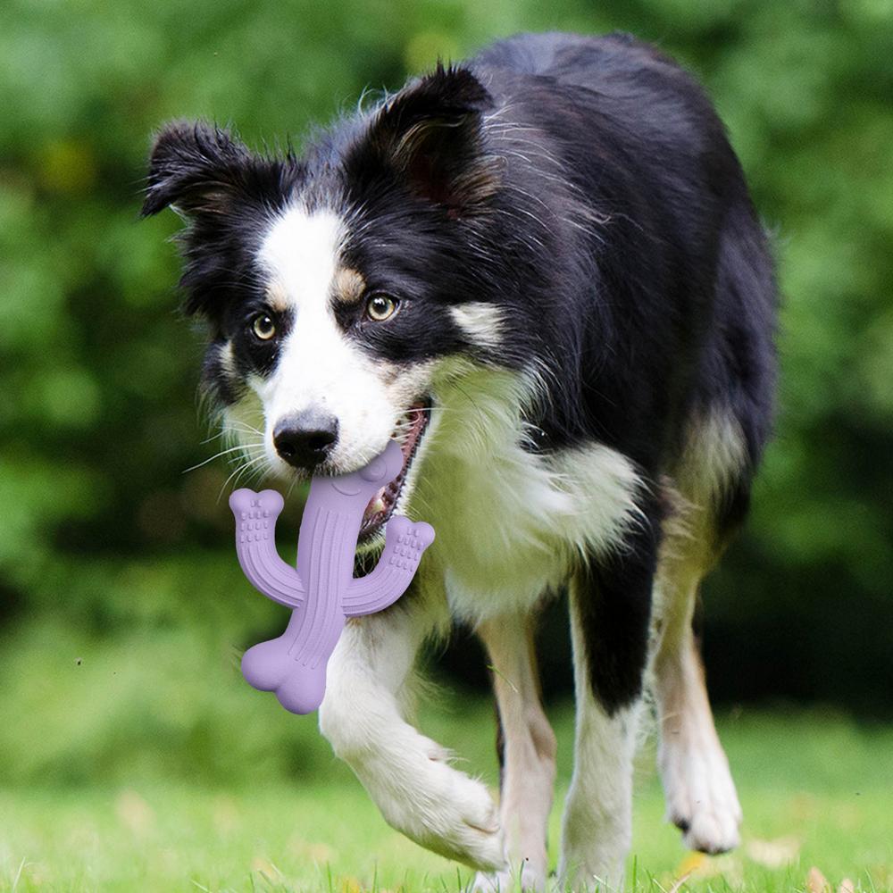 eacb6d35f8d6d8d28528df7b759e0dc7